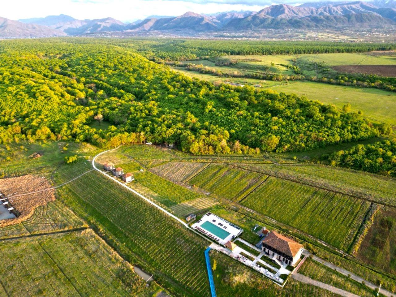 Chateau Vartsikhe المظهر الخارجي الصورة