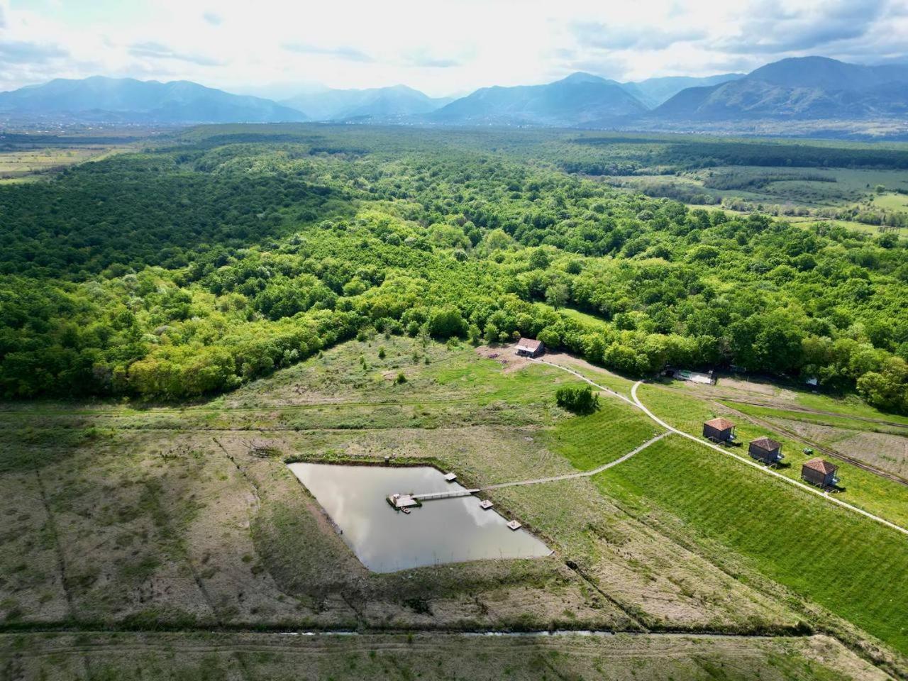 Chateau Vartsikhe المظهر الخارجي الصورة