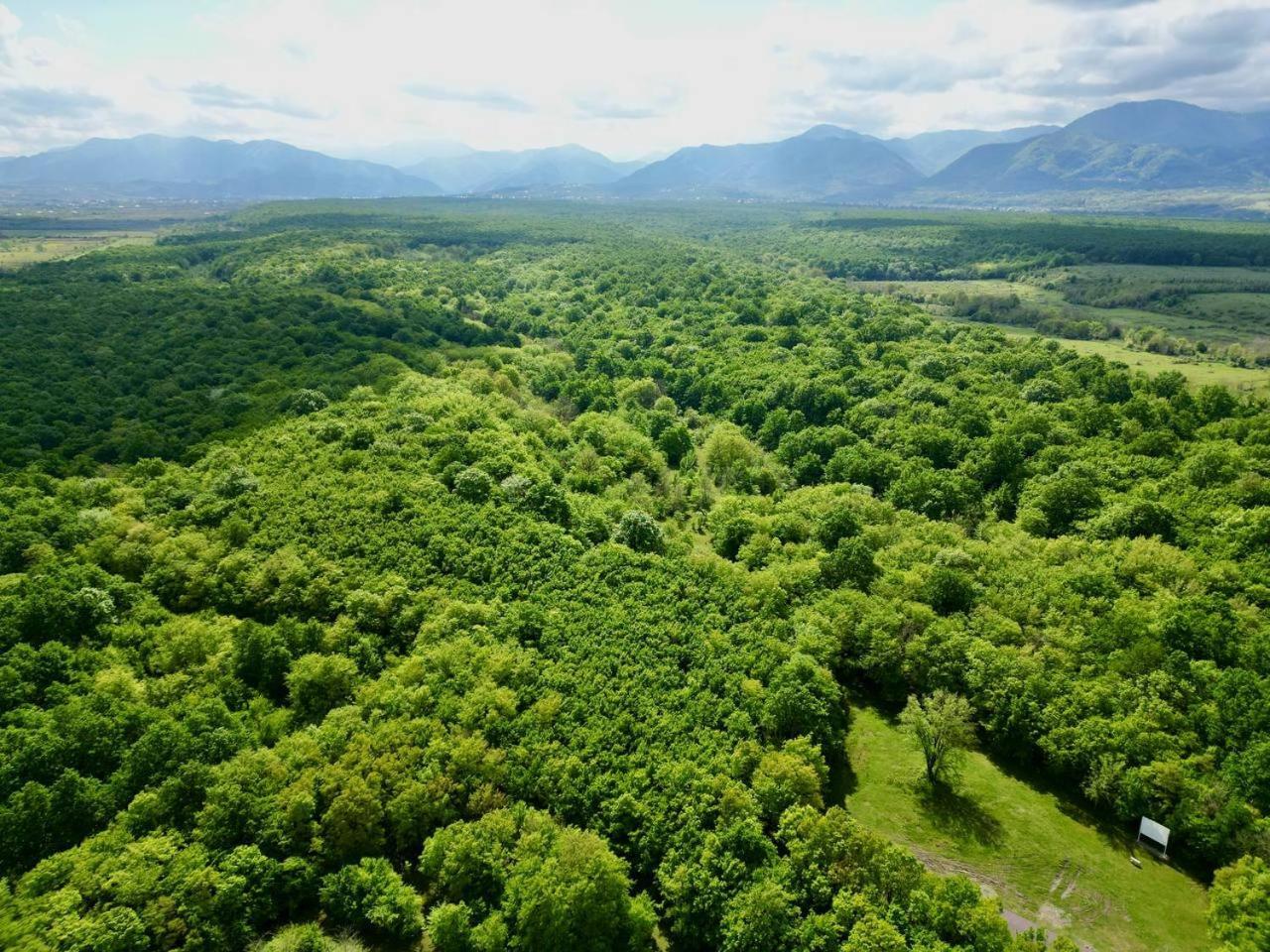Chateau Vartsikhe المظهر الخارجي الصورة